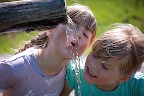 Testing Well Water